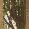 Act II Episode 4 Still